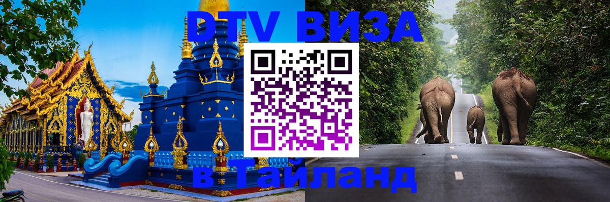 Сколько стоит DTV виза — актуальные цены, оформление даже без документов - 10.01.2026 
